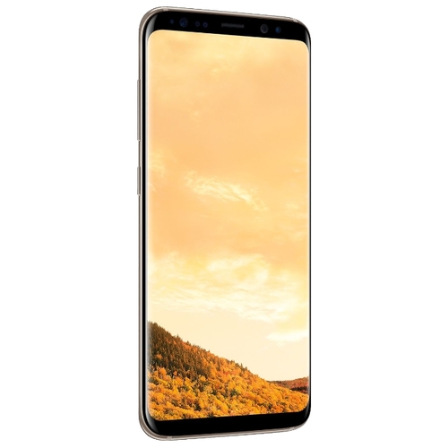 Смартфон Samsung Galaxy S8 G950F 4Gb\64Gb Black